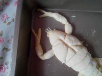 小龙虾面包#妙搭新食尚#的做法步骤12