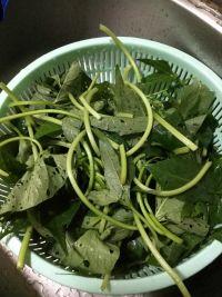 蒜蓉炒薯苗的做法步骤1