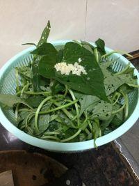 蒜蓉炒薯苗的做法步骤3