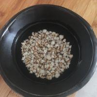 冬瓜薏米鸭汤的做法步骤1