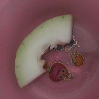 冬瓜薏米鸭汤的做法步骤2