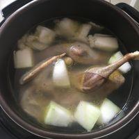 冬瓜薏米鸭汤的做法步骤7