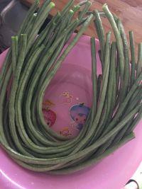 豇豆炒橄榄菜的做法步骤1