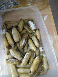 清炒蛏的做法步骤1