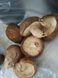 海鲜汤面的做法步骤3