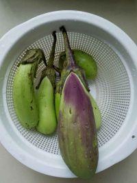 红烧手撕茄子的做法步骤1