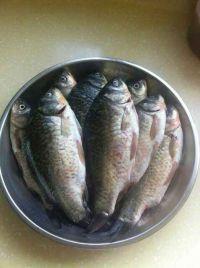 香辣大锅烧鲫鱼的做法步骤1