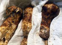 松茸蒸蛋的做法步骤3