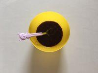 蓝莓酸奶面包杯的做法步骤11