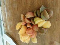 茄子鸡蛋柿子卤的做法步骤3