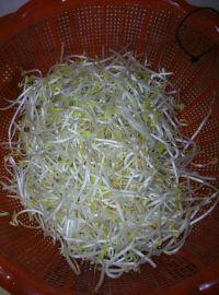 清炒豆芽的做法步骤1
