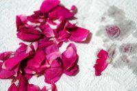 鲜玫瑰花酱的做法步骤2