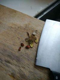 可乐海带头五花肉的做法步骤4