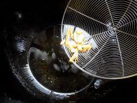 肉末葱油面的做法步骤4