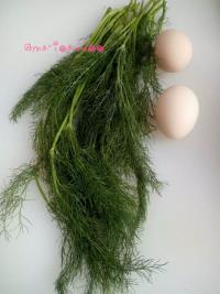 茴香炒鸡蛋的做法步骤1