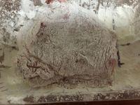 日式炸猪排的做法步骤4