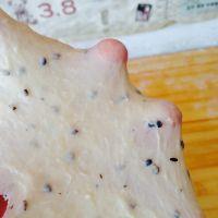 手揉黑芝麻小餐包的做法步骤8