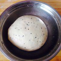 手揉黑芝麻小餐包的做法步骤12