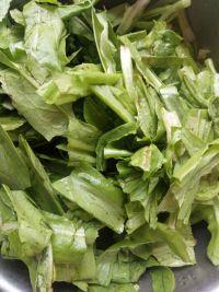 蒜蓉油麦菜的做法步骤2