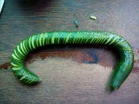 青龙卧雪的做法步骤5