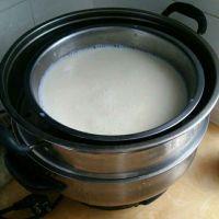 家庭自制酸奶的做法步骤6