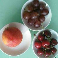 家庭自制酸奶的做法步骤8