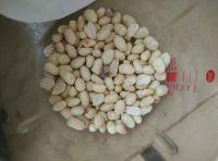 简易花生酥的做法步骤1