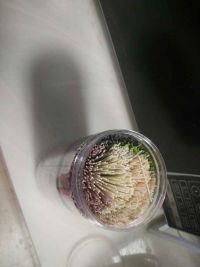 多彩果蔬宝宝面山药面紫土豆面的做法步骤1