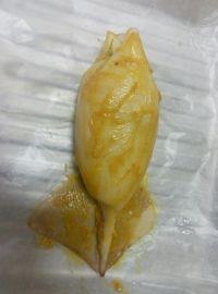 咖喱鲜菇鱿鱼筒的做法步骤13