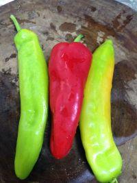 烤辣椒拌茄子的做法步骤3