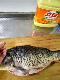 红烧鲤鱼的做法步骤1