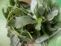 黄瓜苋菜炒肉的做法步骤3