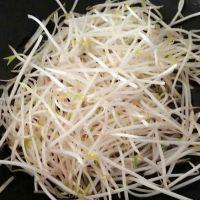 银芽鲜虾的做法步骤4