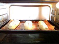 蔓越莓奶酪包的做法步骤19