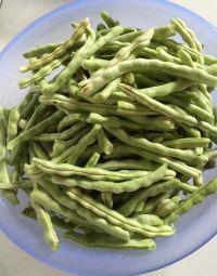 晒干豆角的做法步骤1