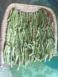 晒干豆角的做法步骤5