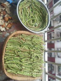 晒干豆角的做法步骤6