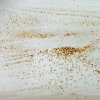 南瓜小松饼的做法步骤7