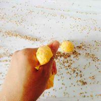 南瓜小松饼的做法步骤8