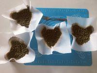 车厘子派的做法步骤16