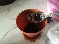 盆栽冰激凌的做法步骤5