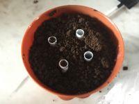 盆栽冰激凌的做法步骤8