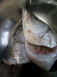 烧鱼头的做法步骤2