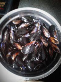 炒黑蛤蜊的做法步骤1