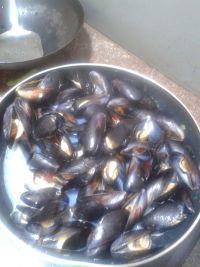 炒黑蛤蜊的做法步骤5