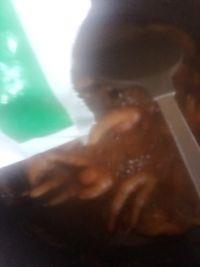 可乐鸡爪的做法步骤9