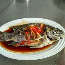 清蒸罗非鱼