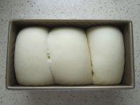 低糖牛奶吐司的做法步骤9