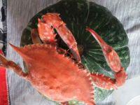 南瓜汤的做法步骤1