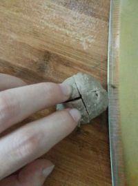 牛肉丸生菜汤的做法步骤3